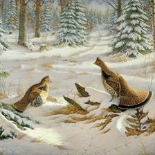 Схема вышивки «тетерева зима»