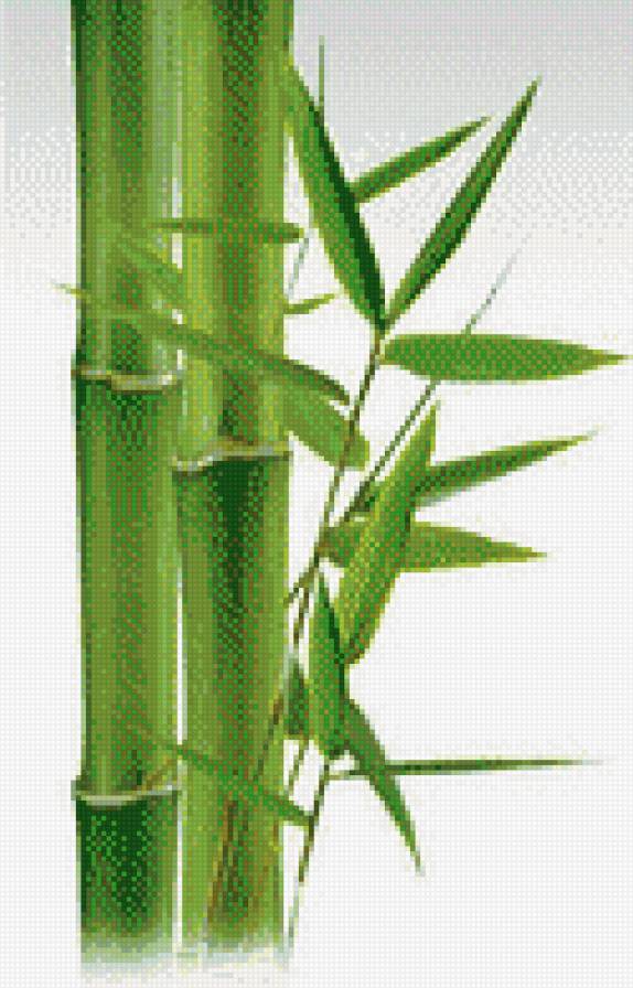 Бамбук - восток, рисунок, панно - предпросмотр