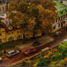 таллин осенью