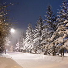 Схема вышивки «№519704»