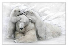 Схема вышивки «белый медведь»