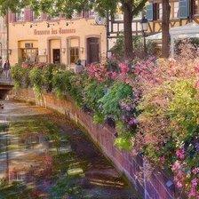 Схема вышивки «цветы»