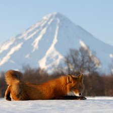 Схема вышивки «Вулкан и лиса»