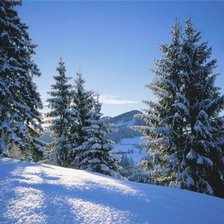 Схема вышивки «Зима»