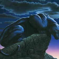 Схема вышивки «Пантера»