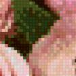 Предпросмотр схемы вышивки «розы» (№520056)