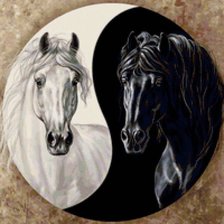 Схема вышивки «фен шуй  лошади инь и янь»