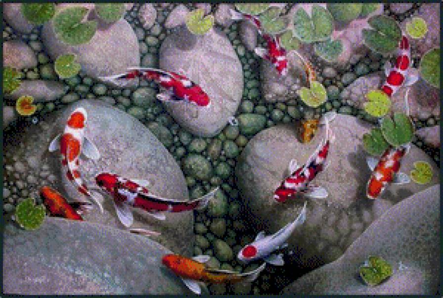 фен шуй девять карпов - картины, картина - предпросмотр