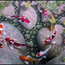 фен шуй девять карпов