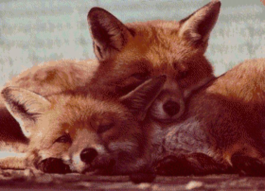 лисята - предпросмотр