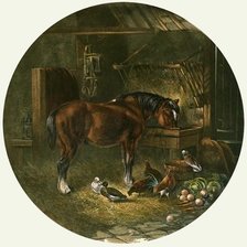 Схема вышивки «Салфетка»