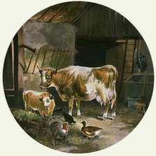 Схема вышивки «Салфетка»