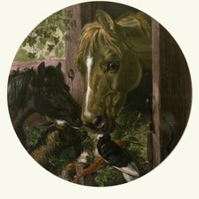 Схема вышивки «Салфетка»