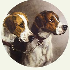 Схема вышивки «Салфетка»