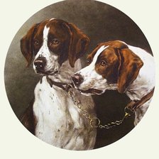 Схема вышивки «Салфетка»