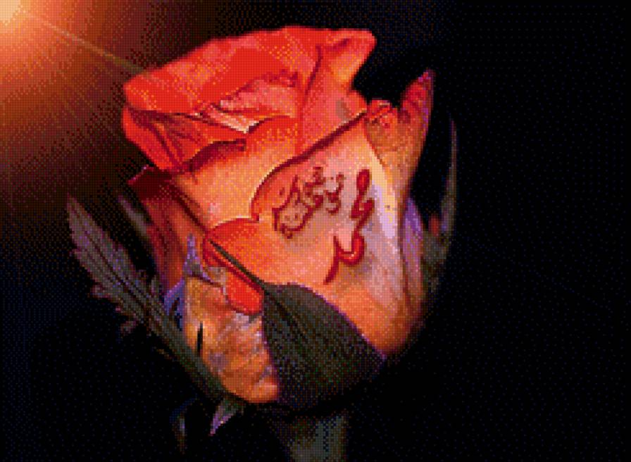 07 - 7 - предпросмотр