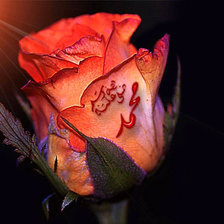 Схема вышивки «07»