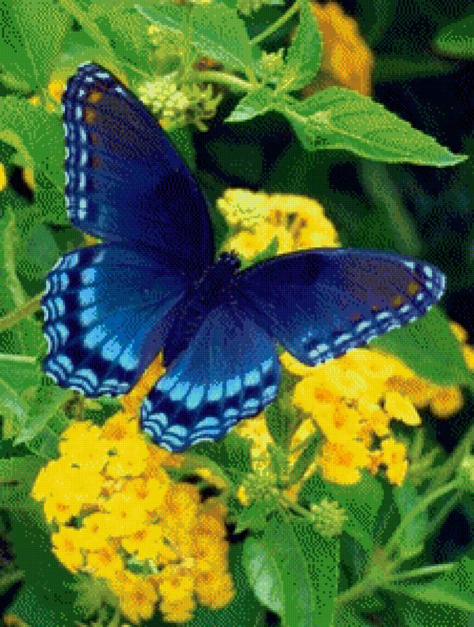 <f,jxrf - предпросмотр