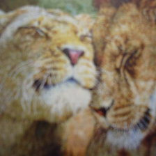 Схема вышивки «львы»