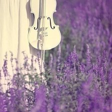 Схема вышивки «белая скрипка»