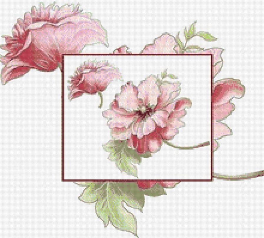 цвети - предпросмотр