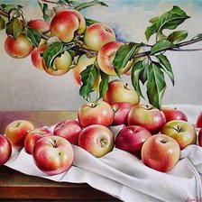 Схема вышивки «яблочки»