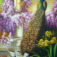 Схема вышивки «павлин»