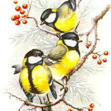 Схема вышивки «птици»