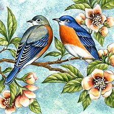 Схема вышивки «птици»