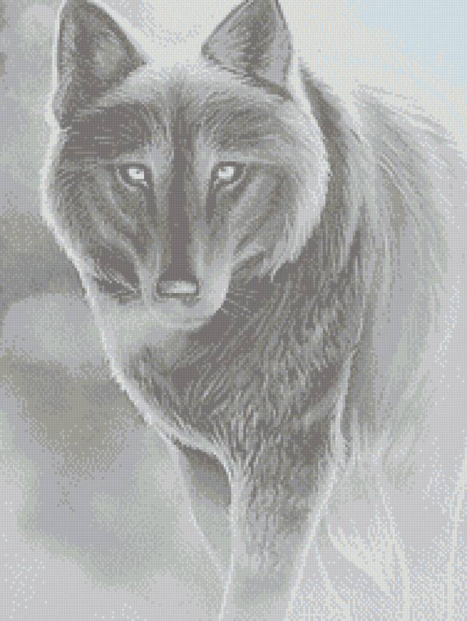 Волк - волки, монохром, животные - предпросмотр