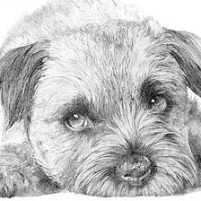 Схема вышивки «Щенок»