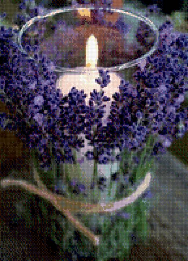 лаванда - предпросмотр