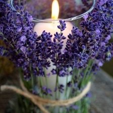 Схема вышивки «лаванда»