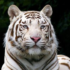 Схема вышивки «№520968»