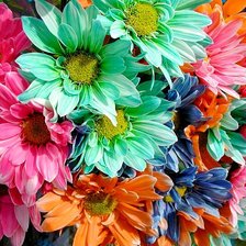 Схема вышивки «цветы и краски»