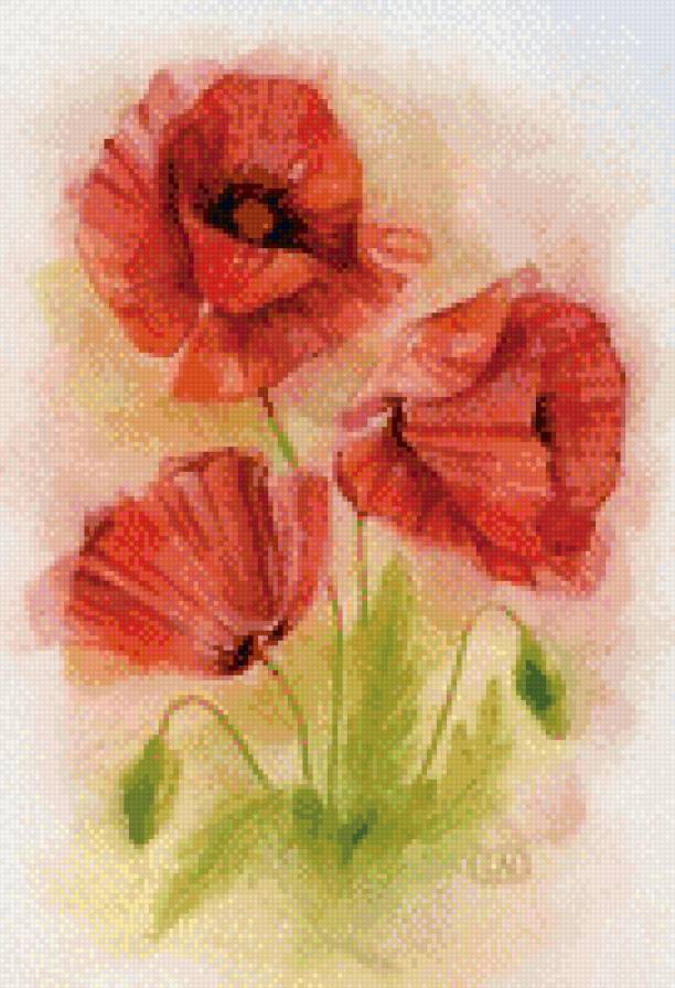 маки - акварель, цветы - предпросмотр