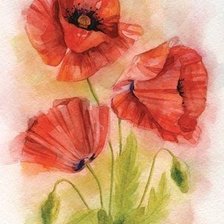 Схема вышивки «маки»