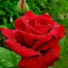 Схема вышивки «№521271»