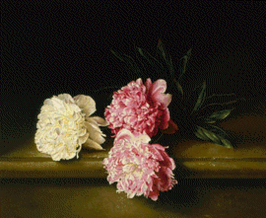 Piony-Jose Ascofet - ziwopis, cwety - предпросмотр