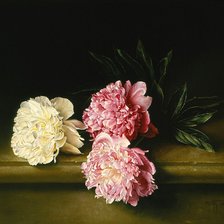 Схема вышивки «Piony-Jose Ascofet»