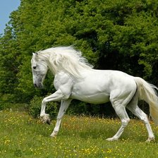 Схема вышивки «№521341»