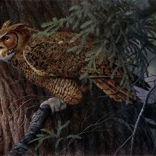 Схема вышивки «филин»