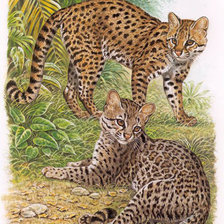 Схема вышивки «"Семейство кошачьих"»