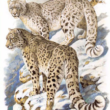 Схема вышивки «"Семейство кошачьих"»