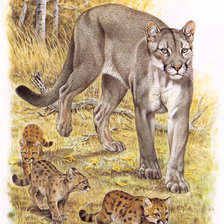 Схема вышивки «"Семейство кошачьих"»