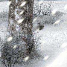 Схема вышивки «Девушка-вьюга ч. 3 низ»