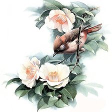 Схема вышивки «Птичка»