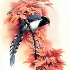 Схема вышивки «Птичка»