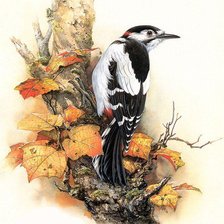 Схема вышивки «Птичка»