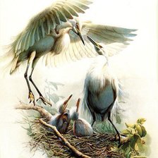 Схема вышивки «птицы»